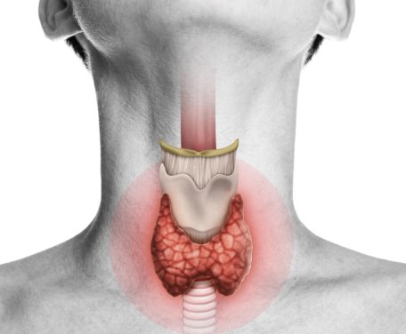 thyroid