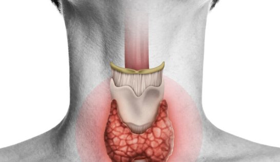 thyroid