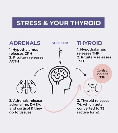 stress&thyroid