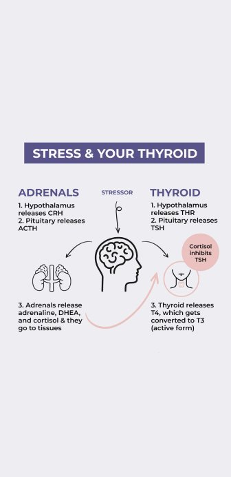 stress&thyroid