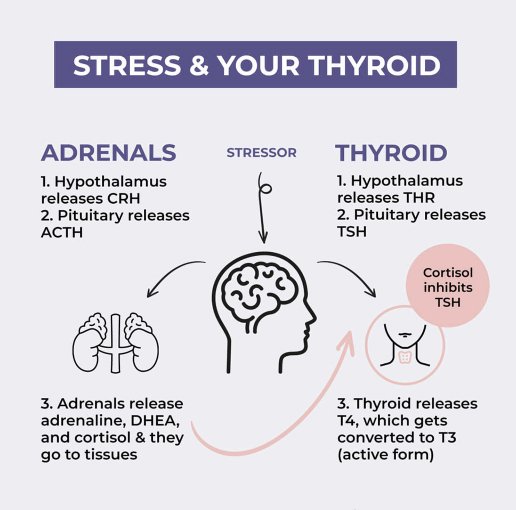 stress&thyroid